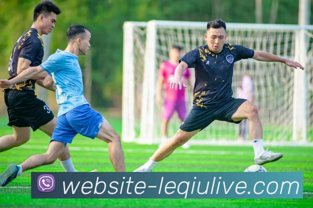 乐球直播平台生态图